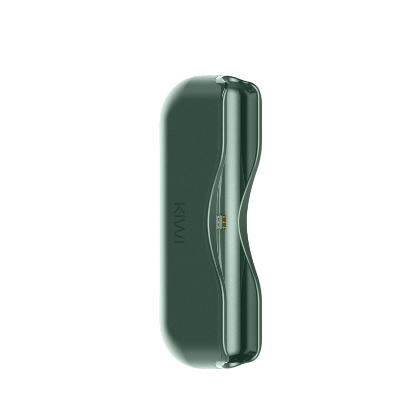 Kiwi Single Powerbank
