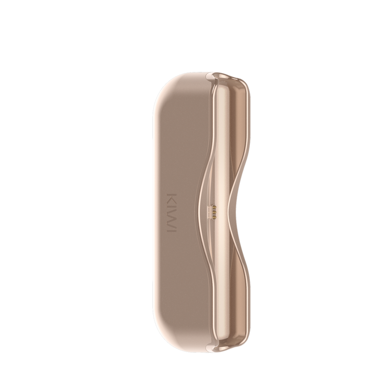 Kiwi Single Powerbank
