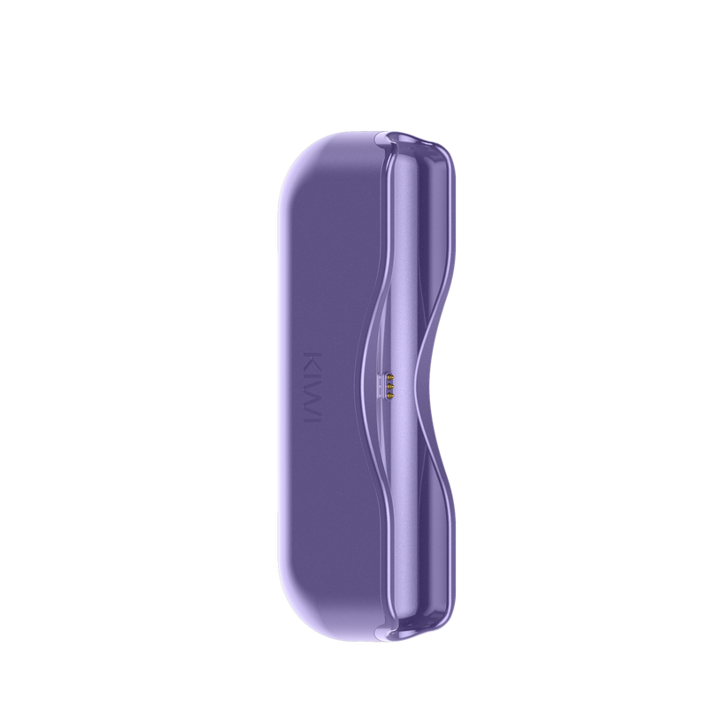 Kiwi Single Powerbank
